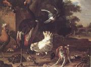 Melchior de Hondecoeter Birds and a Spaniel in a Garden (mk25) china oil painting reproduction